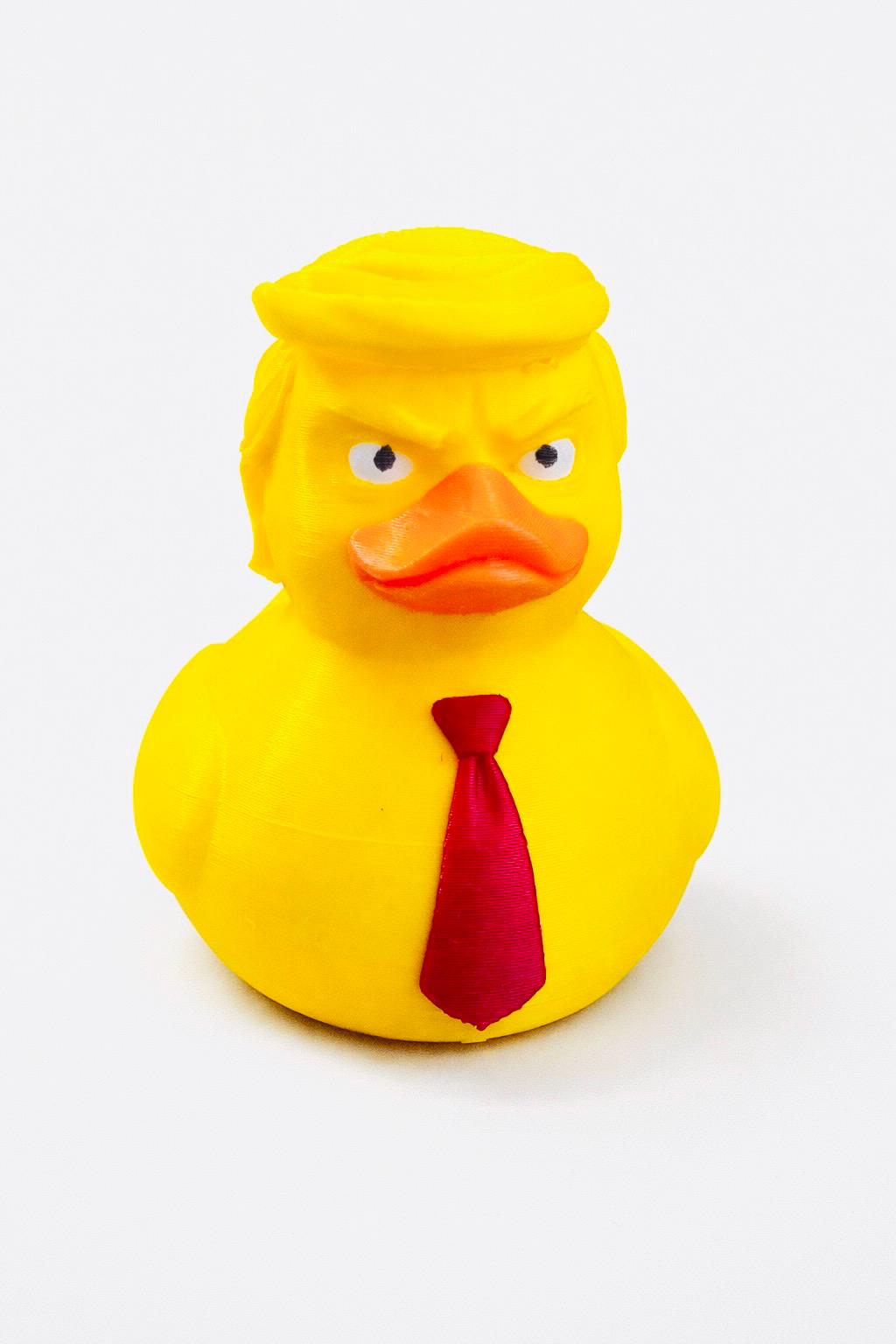 Duckies | Political Theme