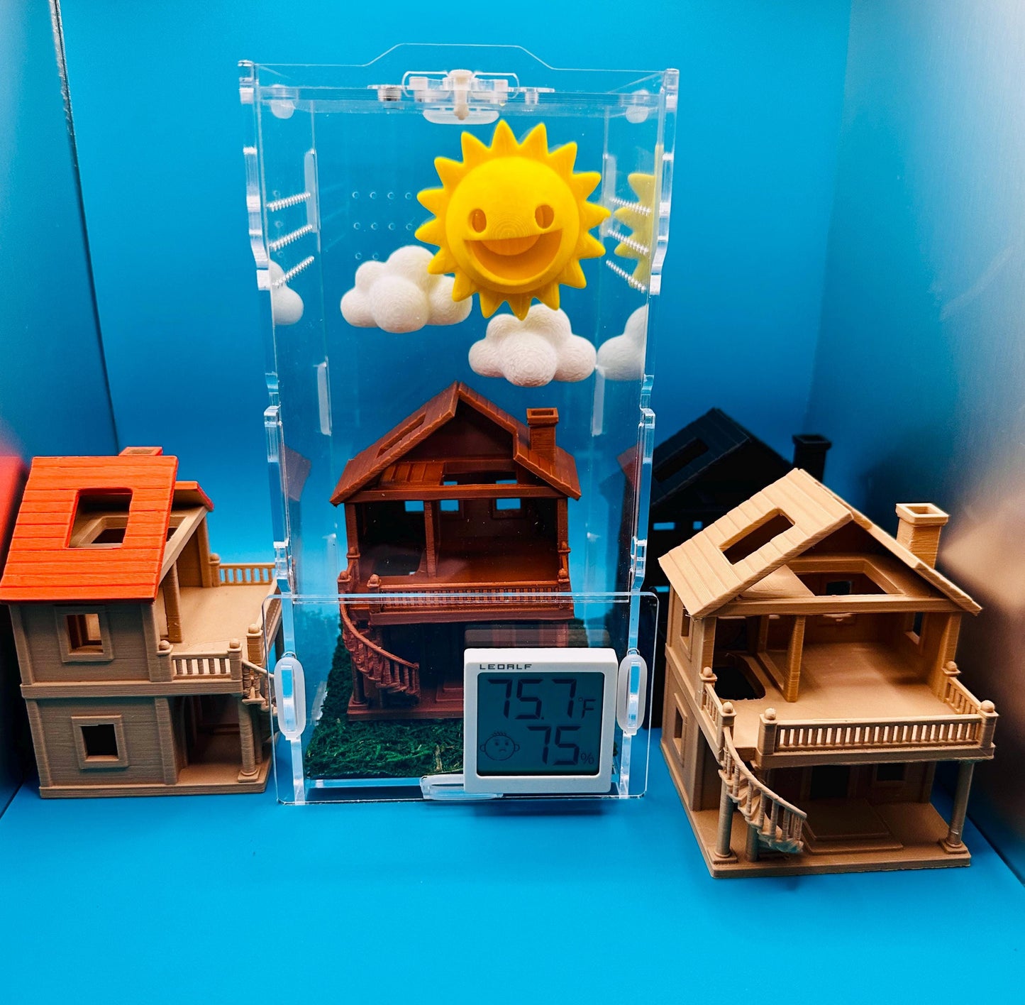 DOLLHOUSE | Jumping Spiders & other tiny pets