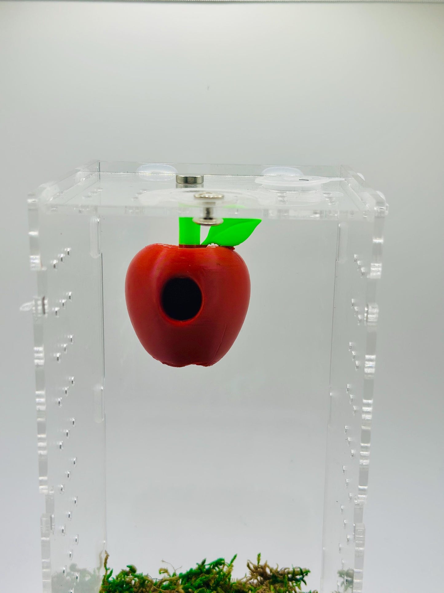 Food Themed Jumping Spider Pods – Magnetic Ceiling-Mounted Hides