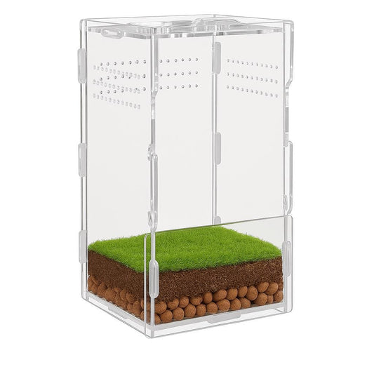 SEMI BIO-ACTIVE Starter Bundle | Jumping Spiders & Other Tiny Pets| Low Maintenance | Free Random Gift included with every order!