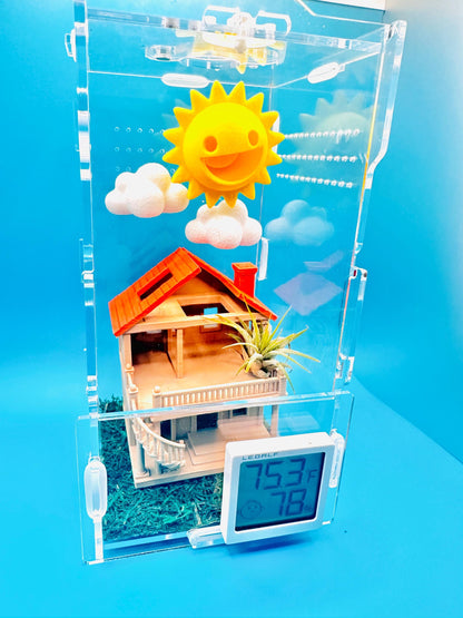 Sunny Doll House Themed Starter Bundle |  Super Low Maintenance | Free Jumping Spider Keychain
