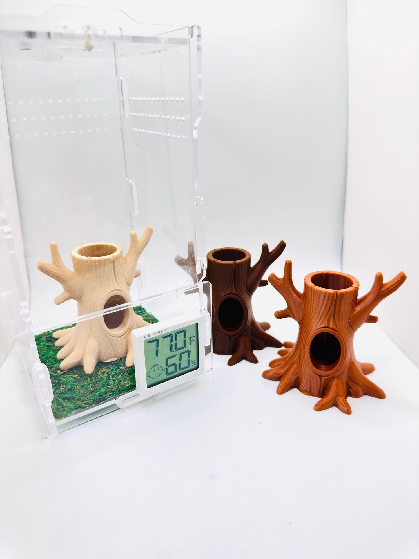 Tree Trunk Hide | Jumping Spider Enclosure Decor
