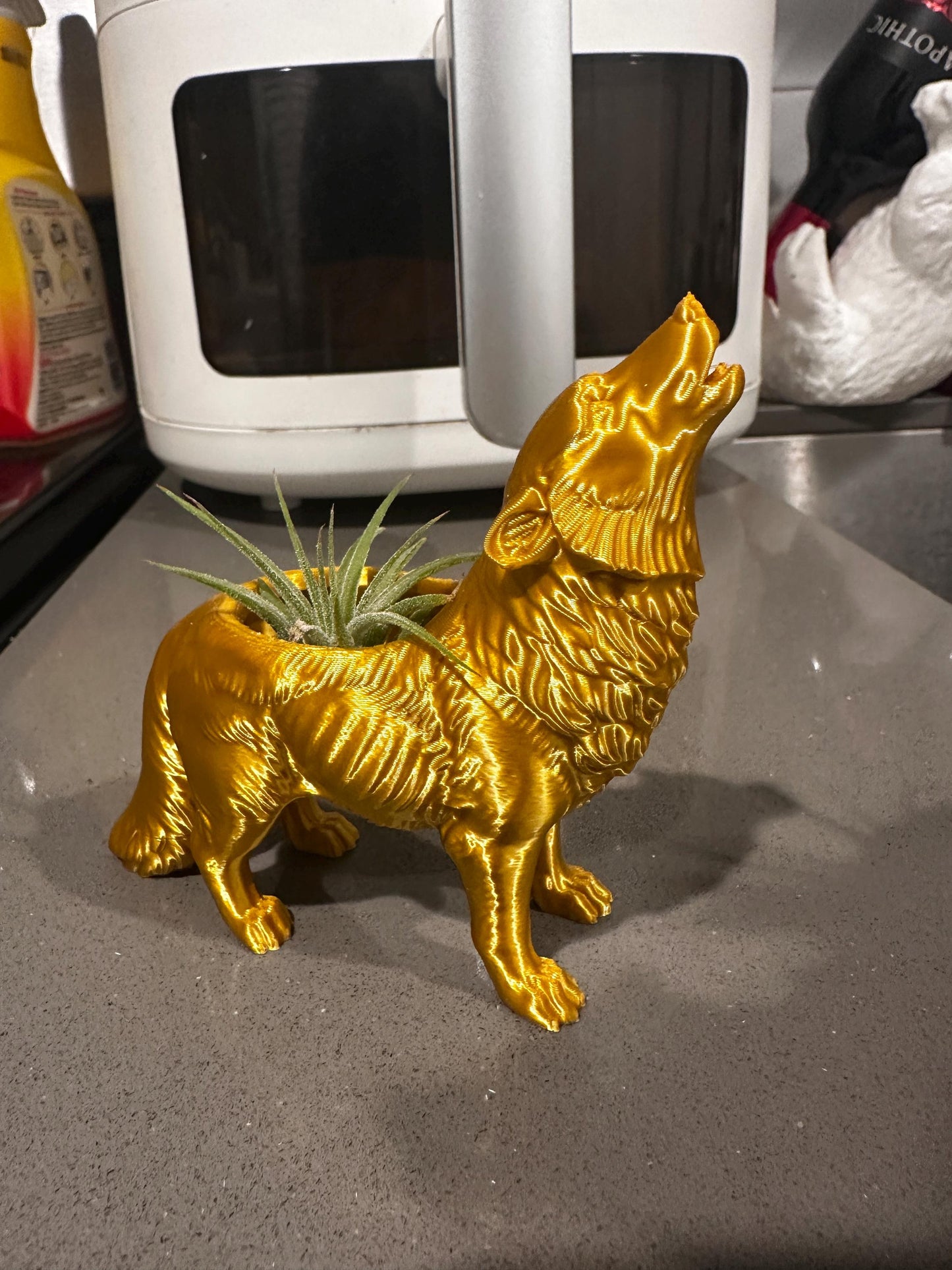 Howling Wolf Air Plant Planter