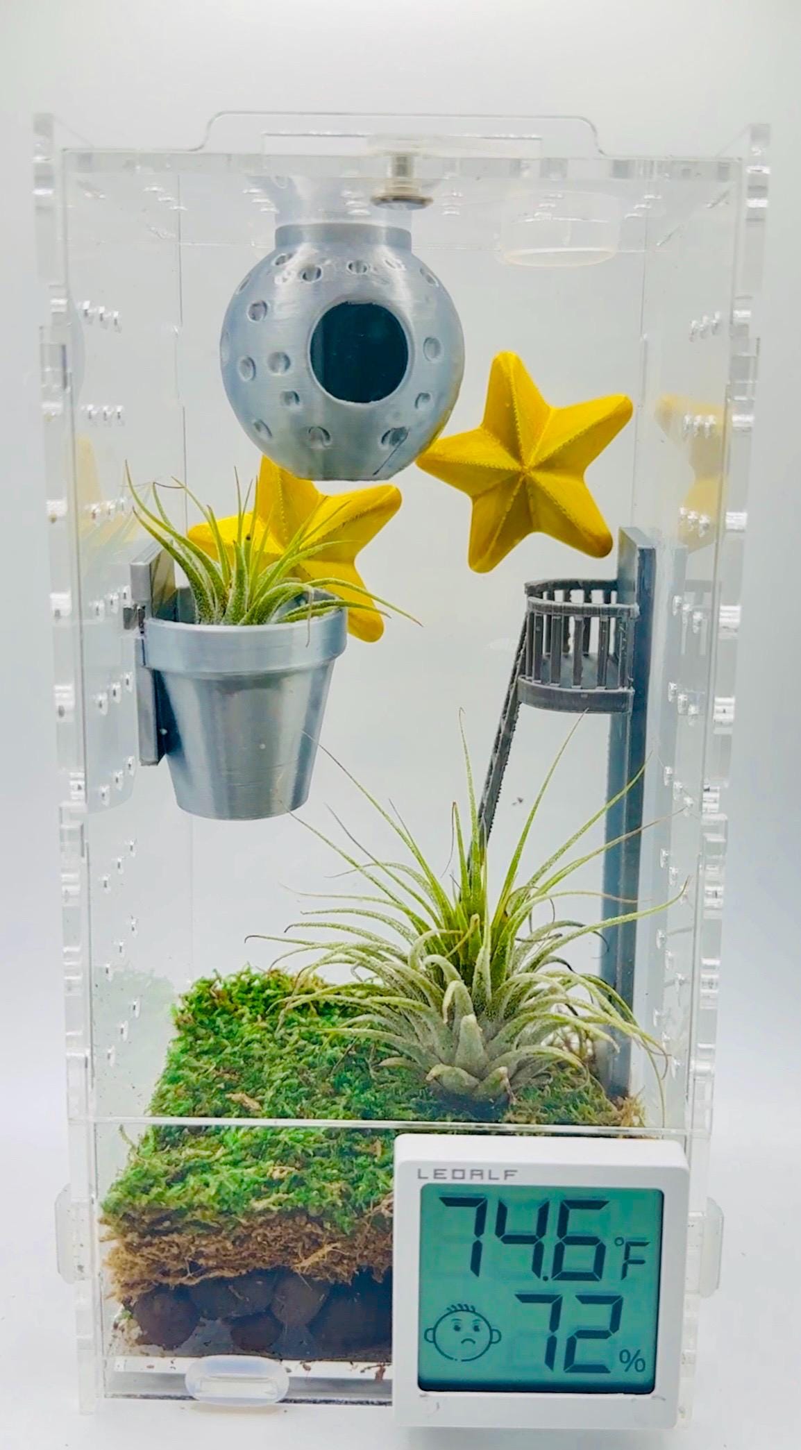 Classic Wall Planter | Magnetic | Jumping Spiders | Enclosure Accessories
