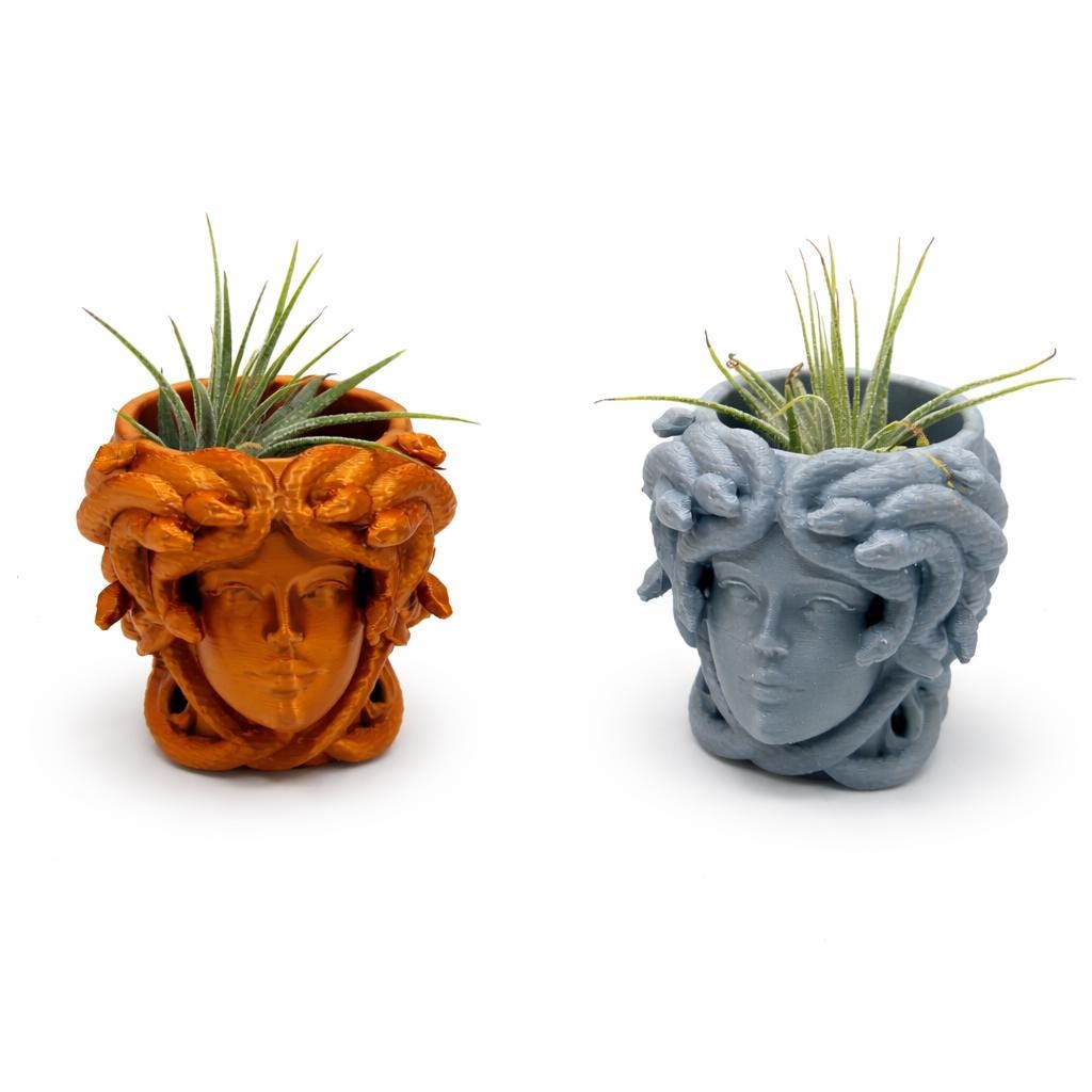Medusa Head Planter – 3D Printed - Greek Mythology Inspired Decor