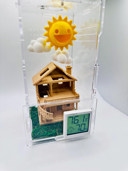 DOLLHOUSE | Jumping Spiders & other tiny pets