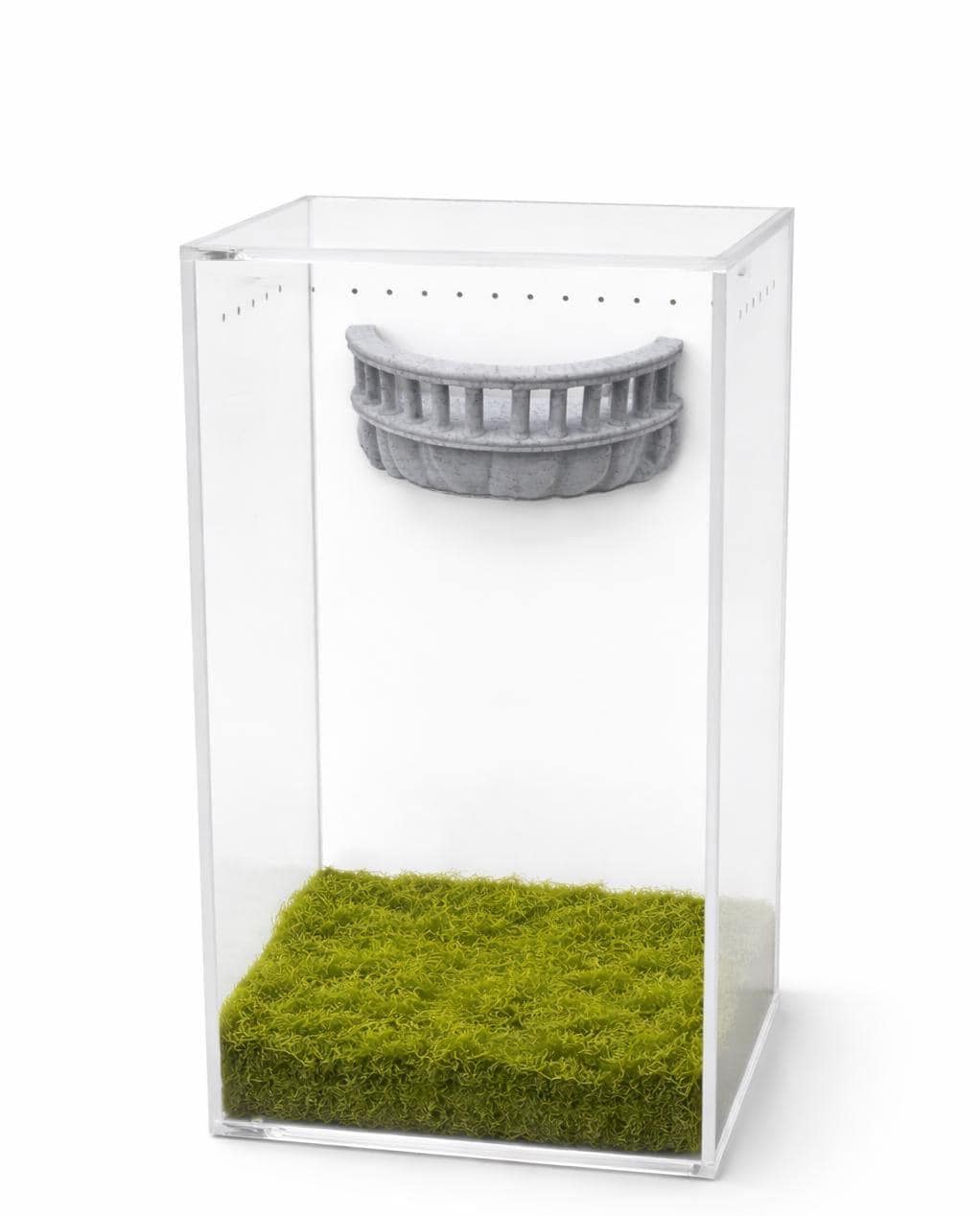 Stone Balcony Perch | Magnetic Enclosure Wall Decor