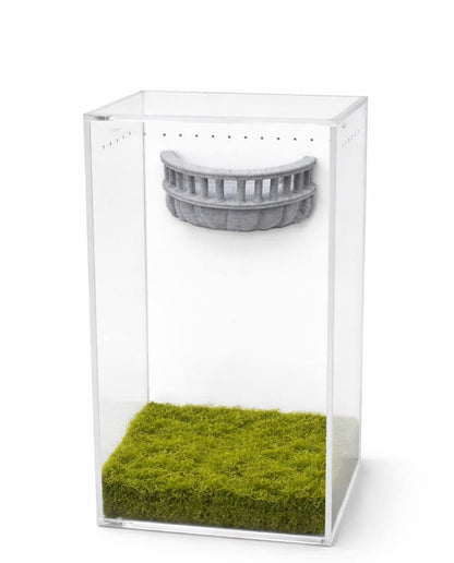 Stone Balcony Perch | Magnetic Enclosure Wall Decor