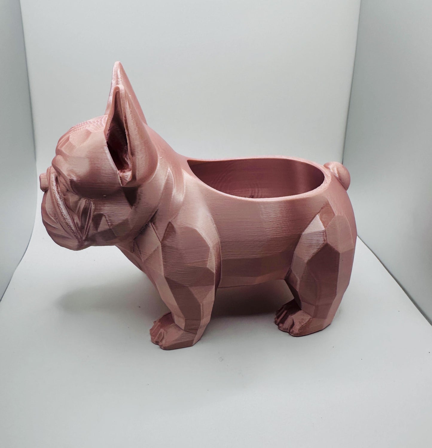 Frenchie decorative planter– Perfect for Succulents or Air Plants | Unique Home Decor | Gift for Pet/Plant Lovers