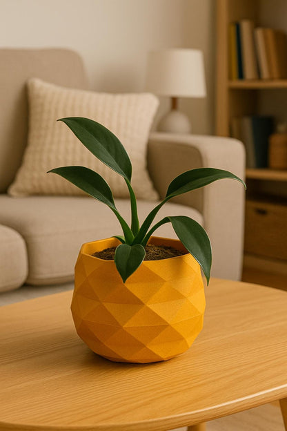 Geometric Modern Stle Planter