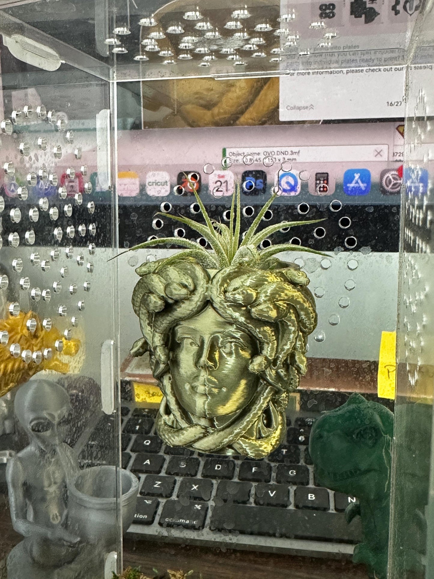 Magnetic Medusa Wall Planter | Enclosure Decor | Jumping Spiders