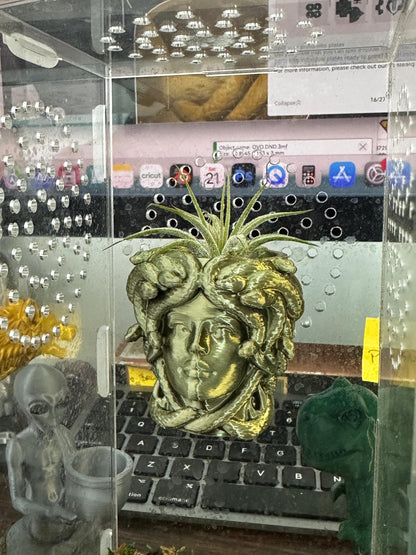 Magnetic Medusa Wall Planter | Enclosure Decor | Jumping Spiders