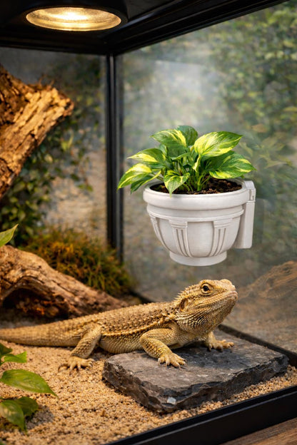 Magnetic Greek Wall Planter | sized for REPTILES & Larger Enclosures | Plant Add-ons