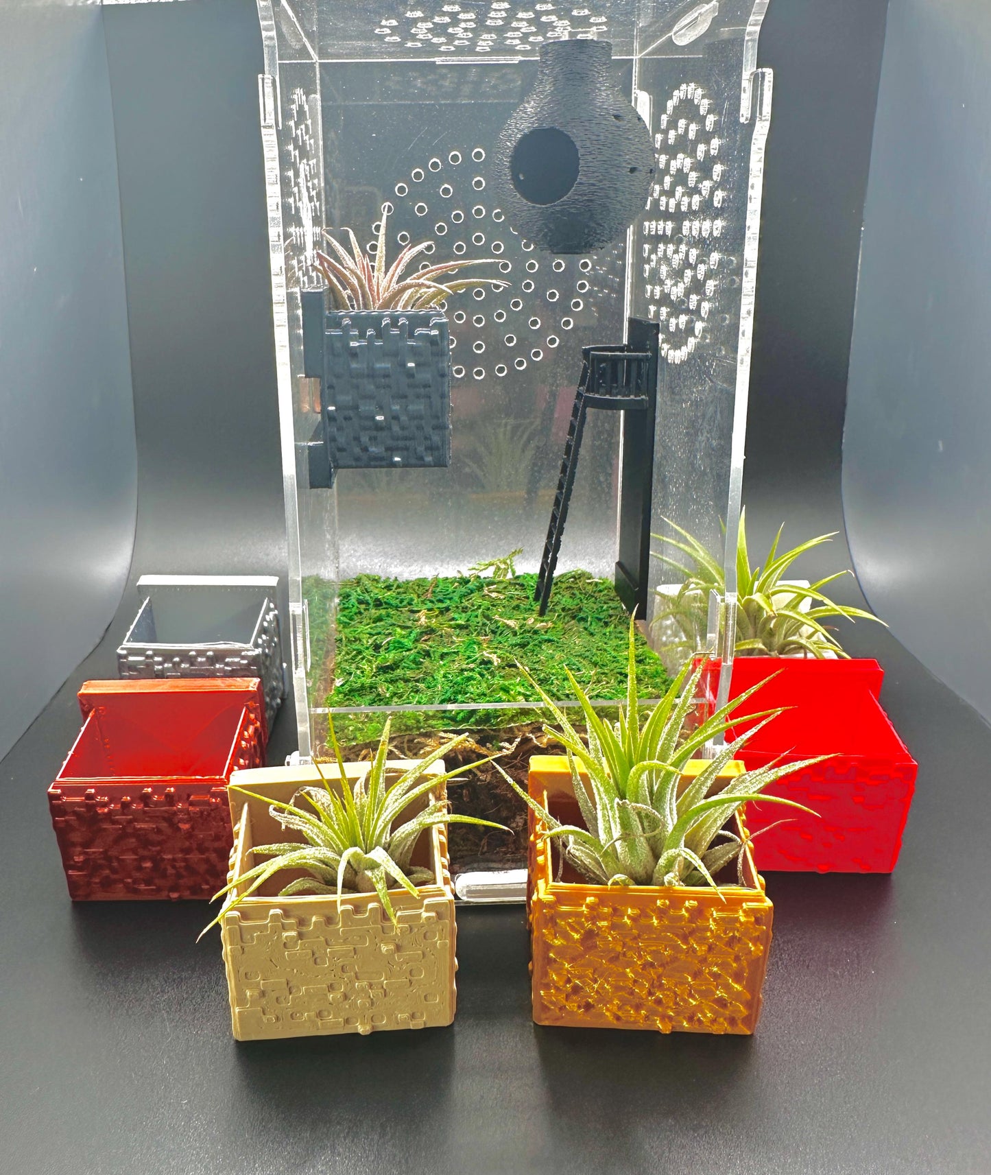 Cube Style Magnetic Wall Planter