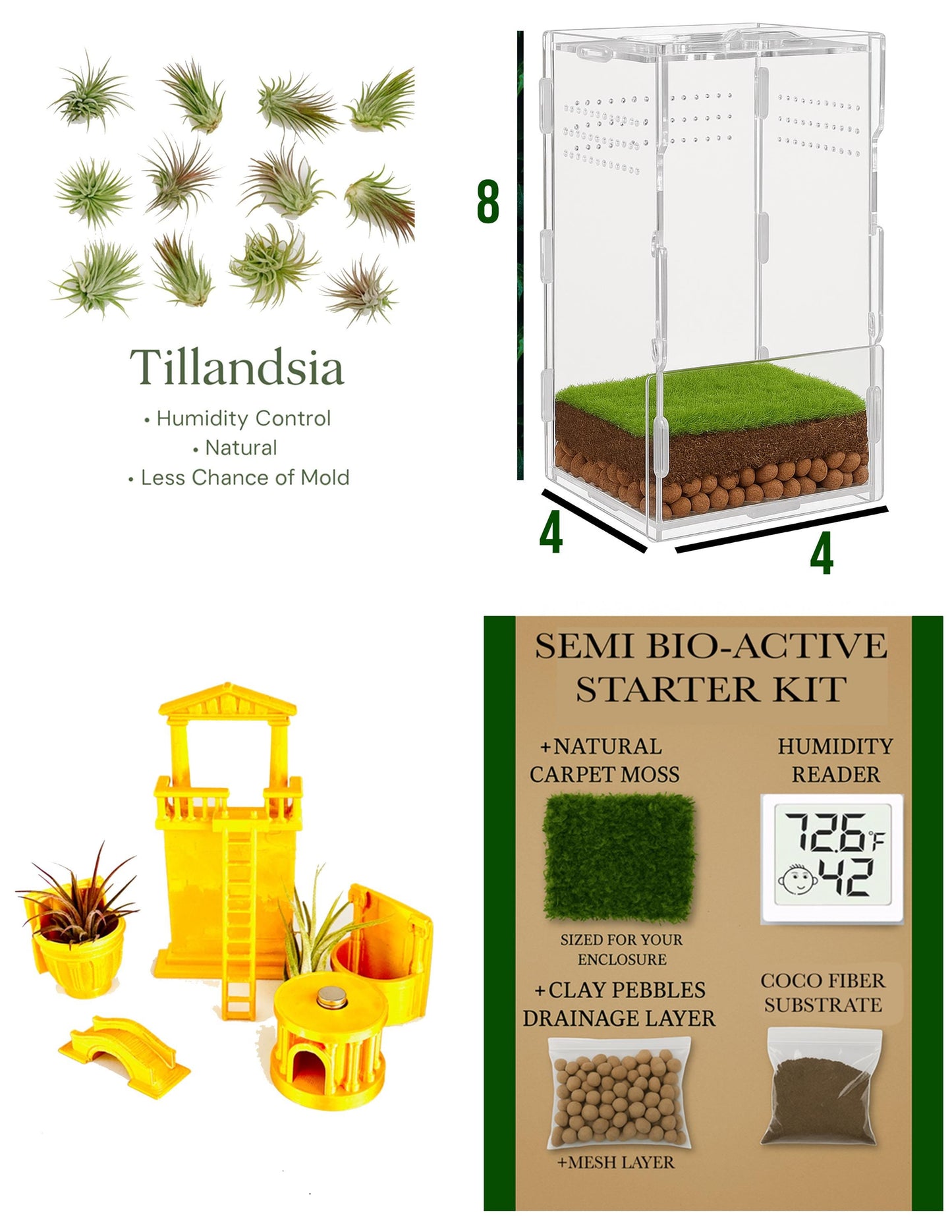 Ancient Rome Full Bundle Pack | Jumping Spiders | Semi Bio Active Kit + Fully Stocked Enclosure