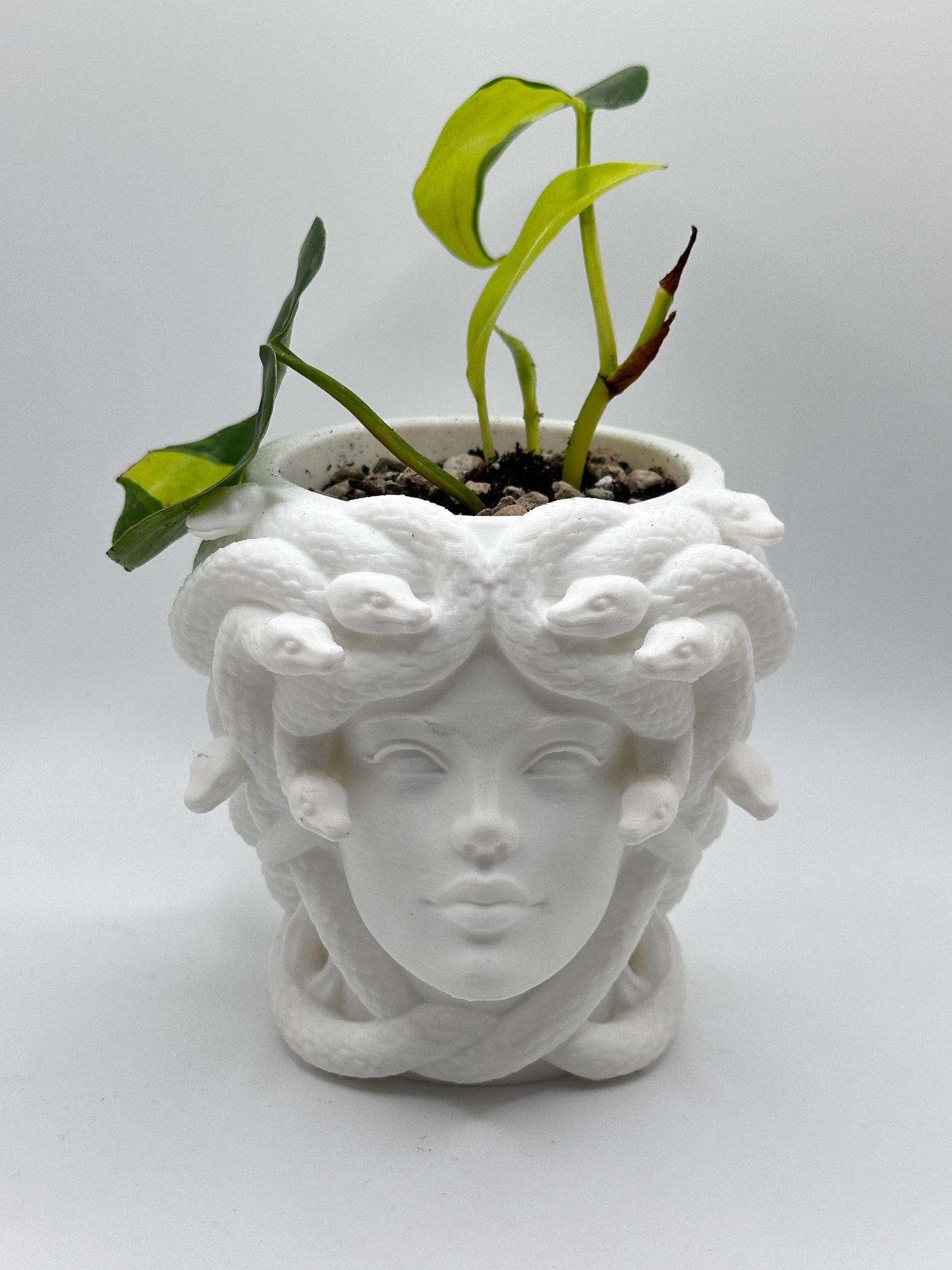 Medusa Head Planter – 3D Printed - Greek Mythology Inspired Decor