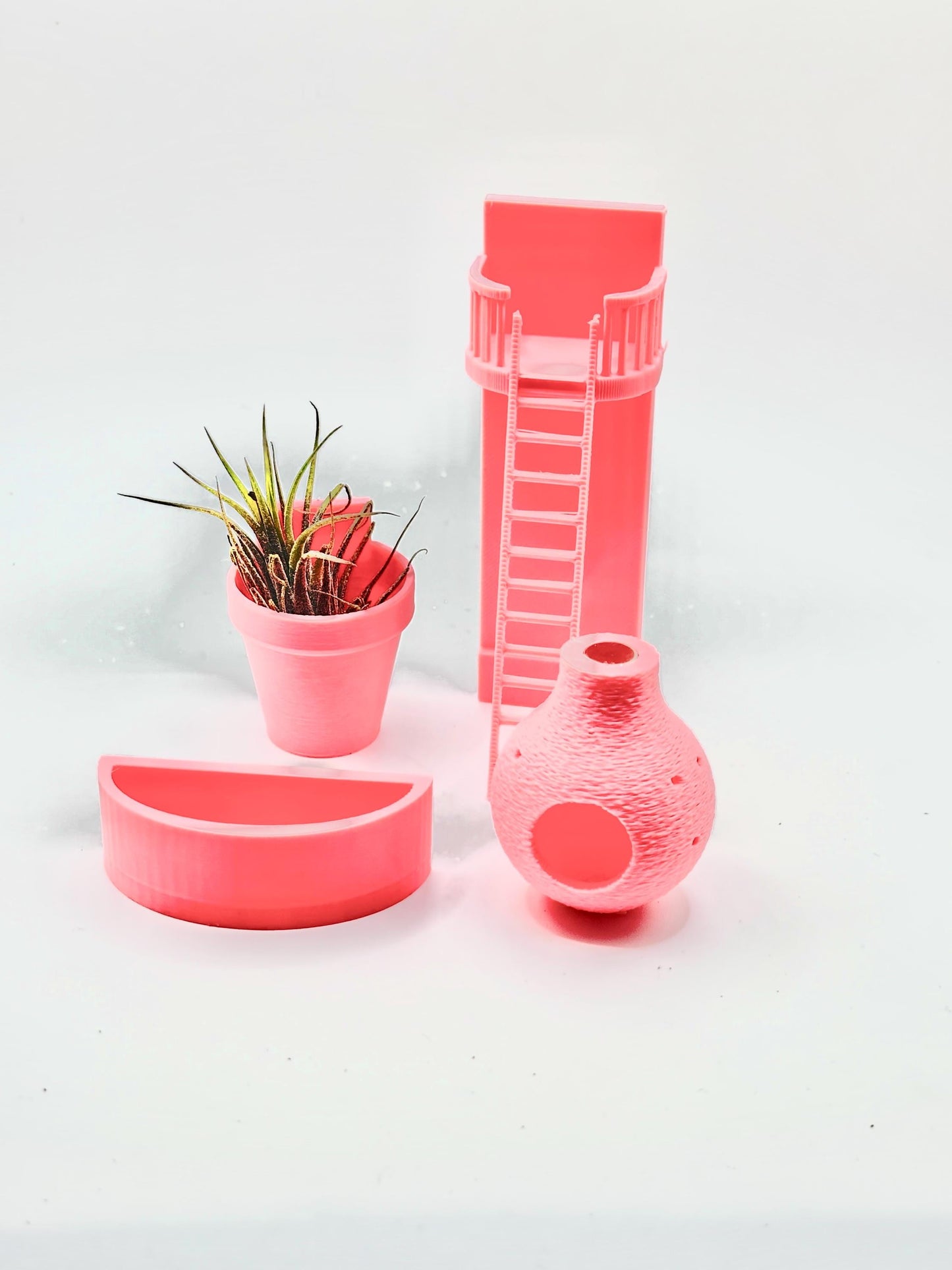 FULL ACCESSORY KIT | Any Color | Jumping Spiders