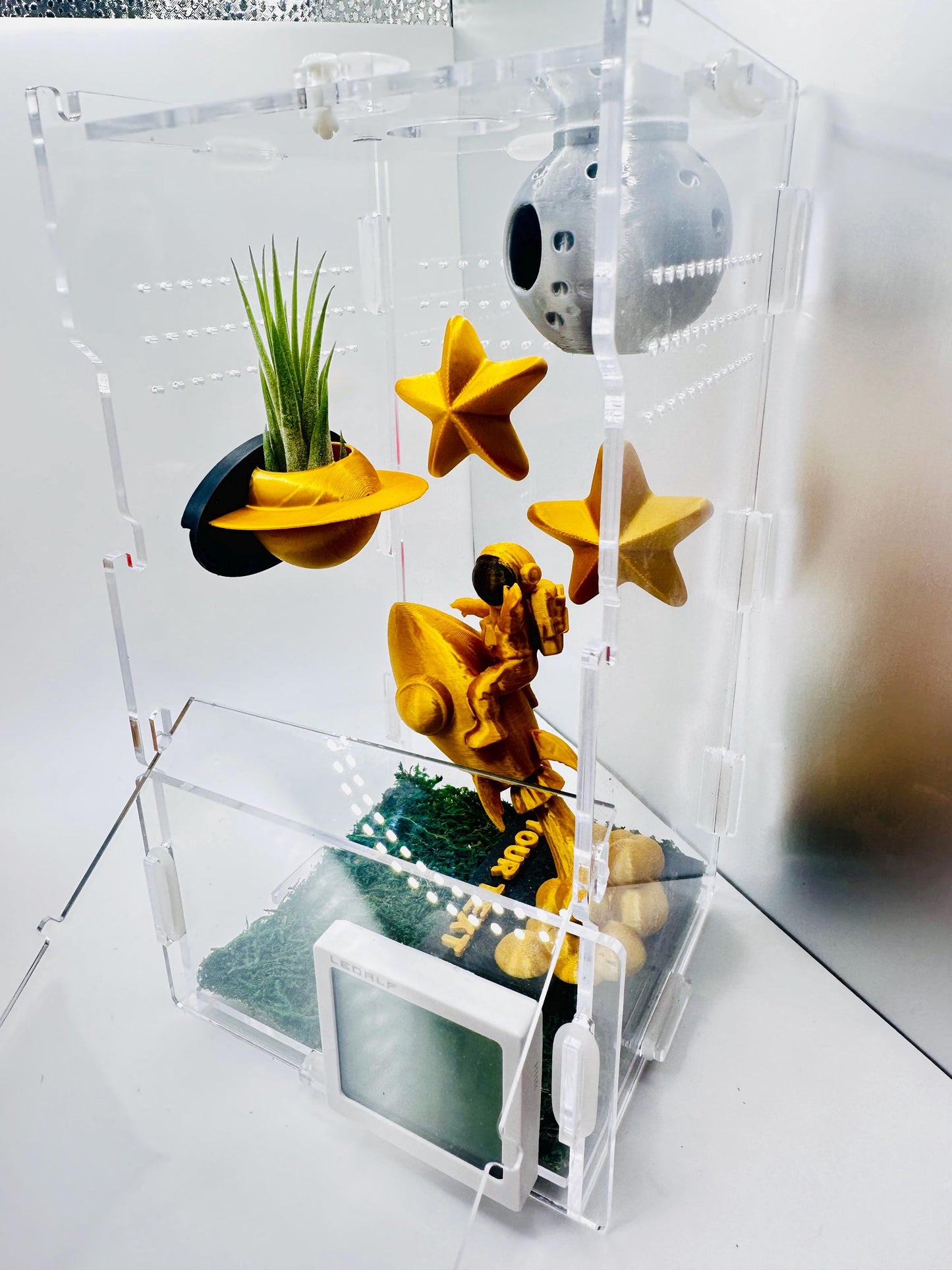 Space Themed Magnetic Wall Planters | Pet decor | Terrariums | Jumping Spider