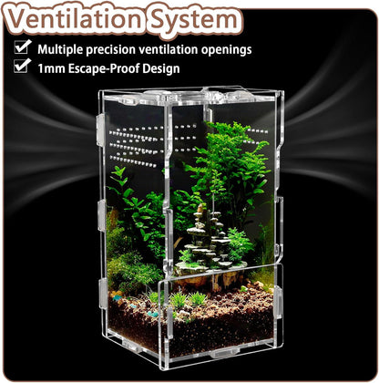 Secret Door Cave | SIMPLE Starter Bundle | Jumping Spider Enclosure