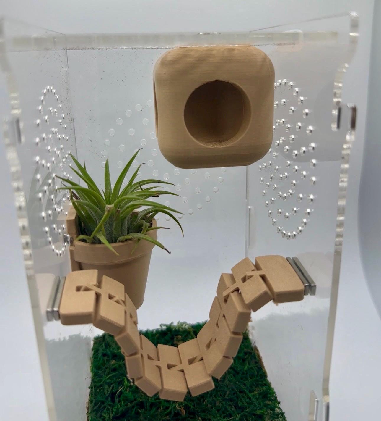 Cube Jumping Spider Hide | Magnetic Ceiling Pod
