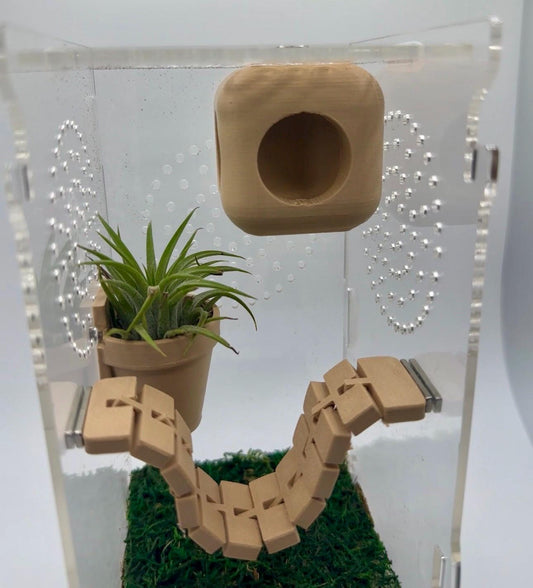 Cube Jumping Spider Hide | Magnetic Ceiling Pod