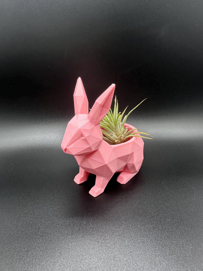 Bunny Rabbit Planter Décor for Airplants or Succulents