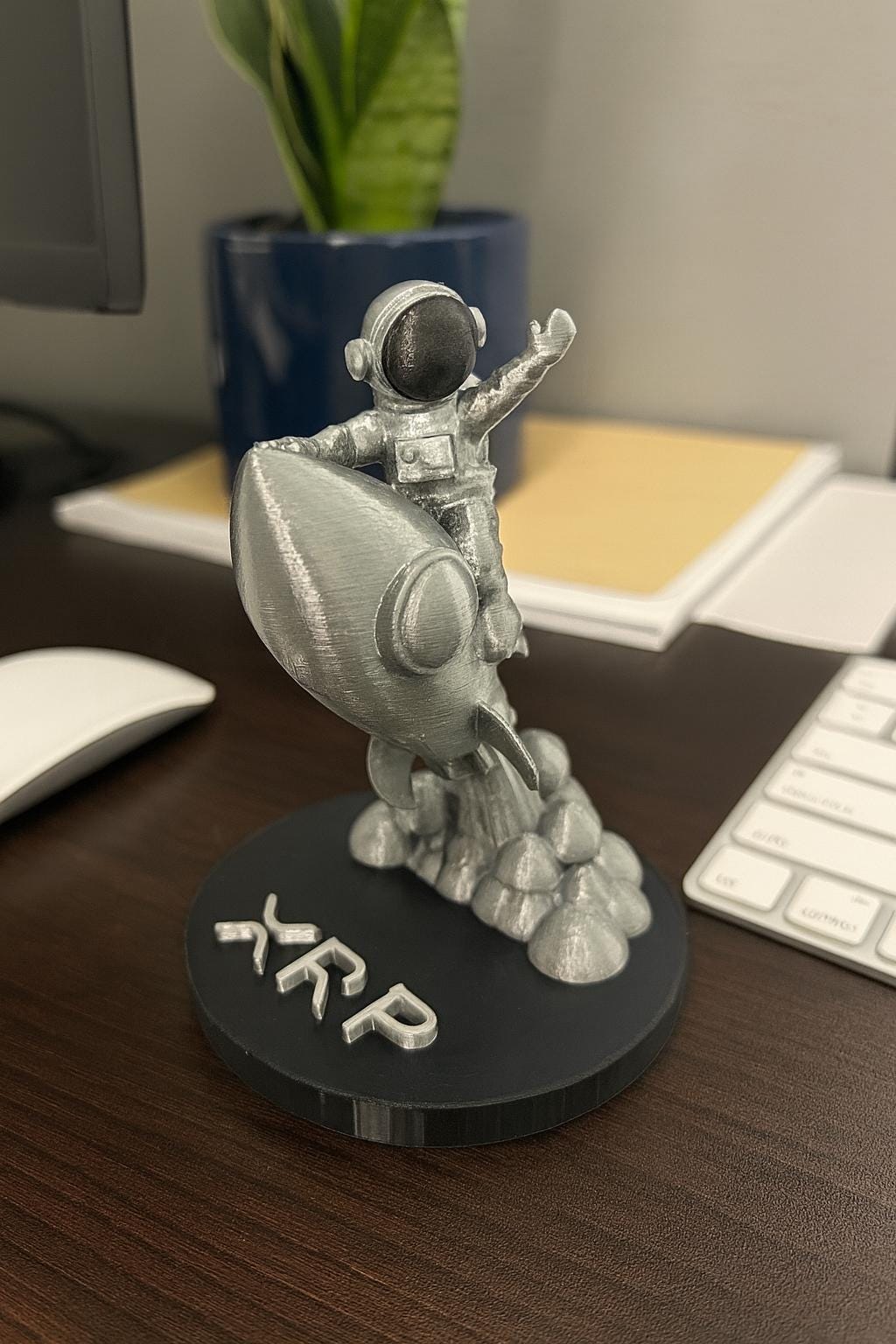 XRP to the moon | Decor