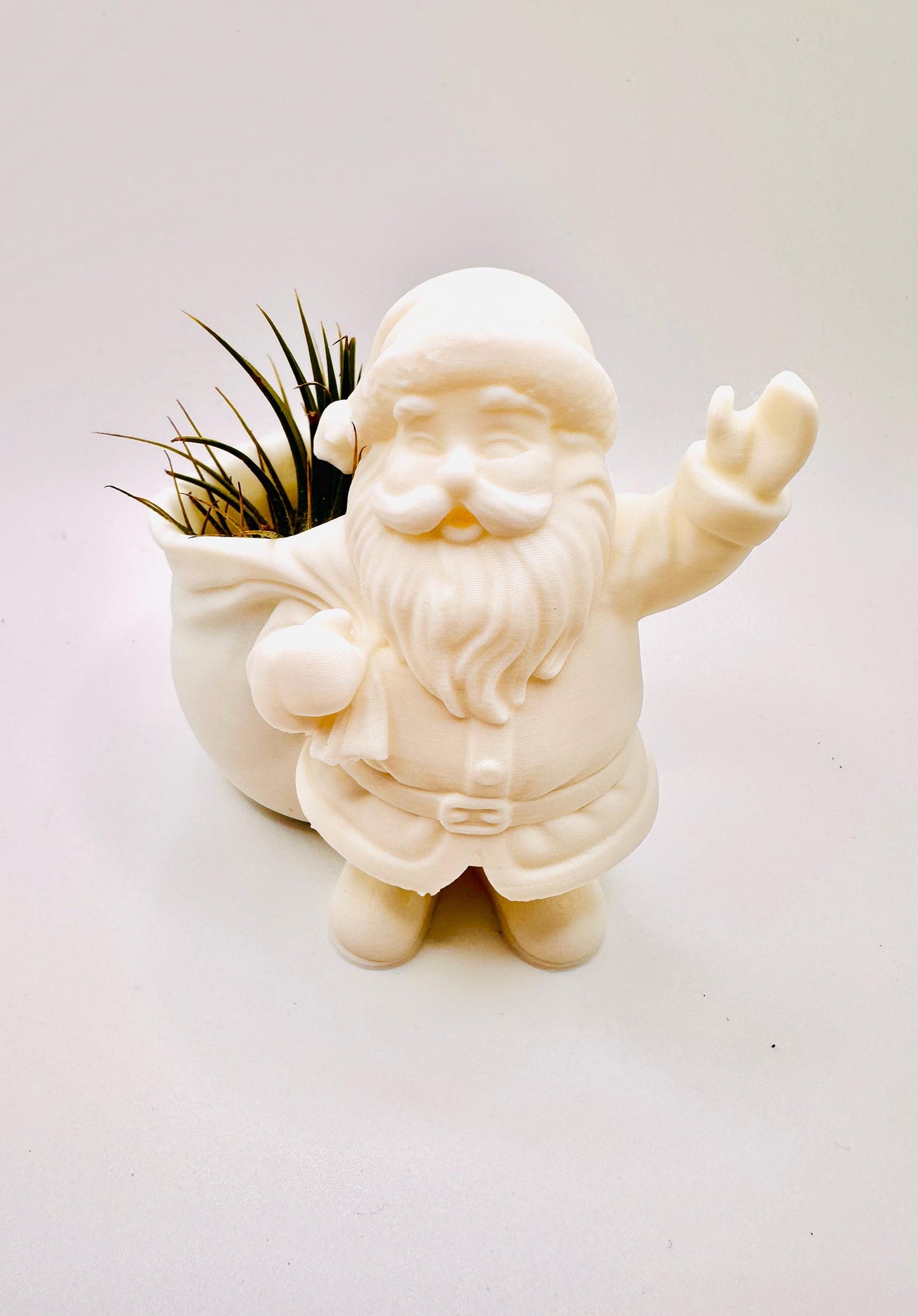 Santa Planter | Perfect for Air plants or Succulents