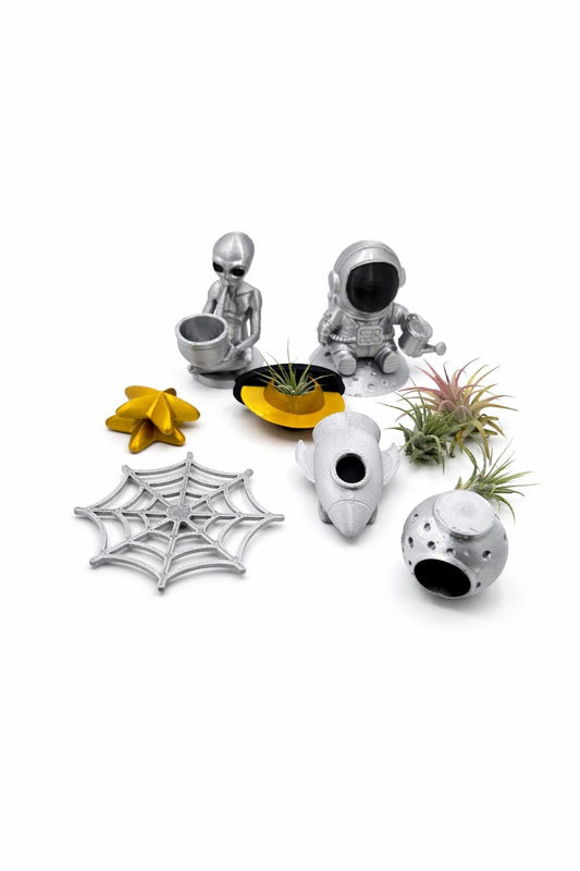 New Space Theme | JUMPING SPIDERS