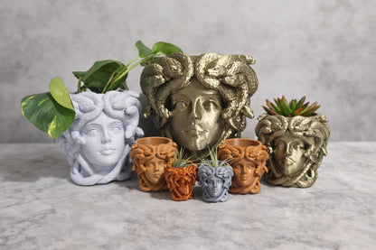 Medusa Head Planter – 3D Printed - Greek Mythology Inspired Decor