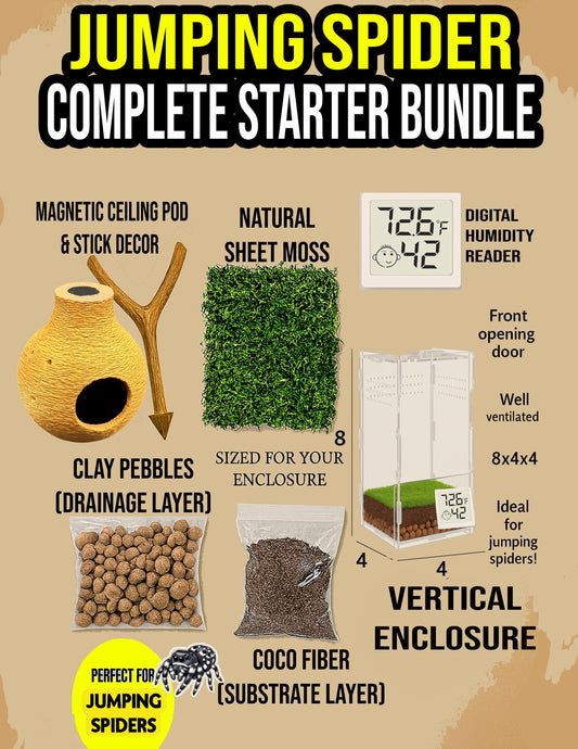 SEMI BIO-ACTIVE Starter Bundle | Jumping Spiders & Other Tiny Pets| Low Maintenance | Free Random Gift included with every order!