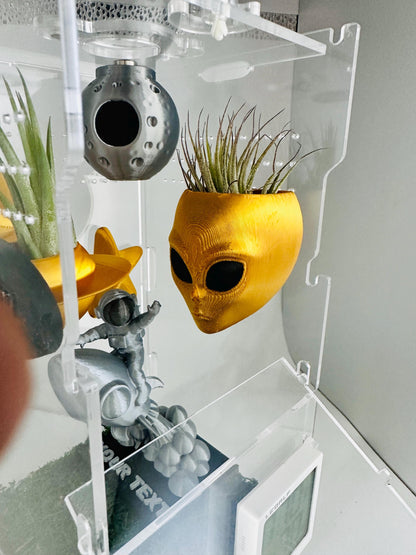 Space Themed Magnetic Wall Planters | Pet decor | Terrariums | Jumping Spider