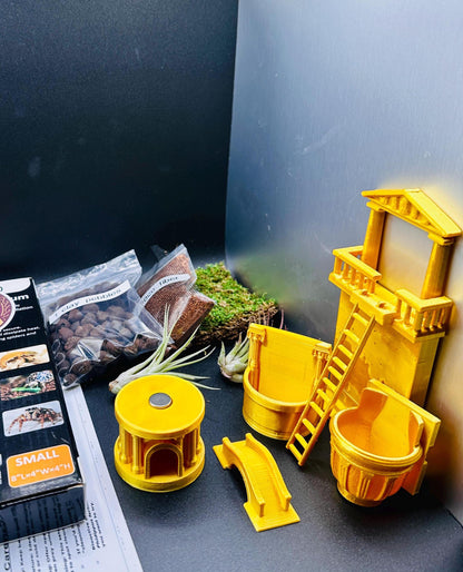 Ancient Rome Full Bundle Pack | Jumping Spiders | Semi Bio Active Kit + Fully Stocked Enclosure