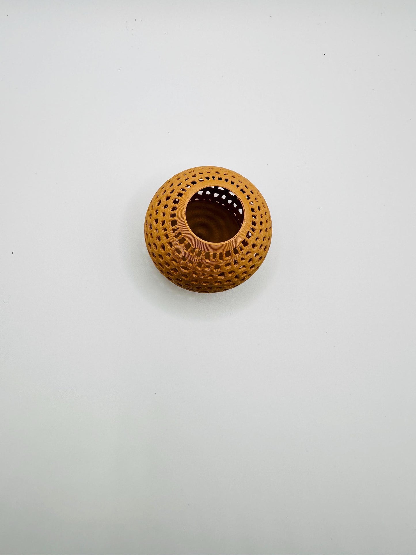 Premium Jumping Spider Hide | Magnetic Wall Pod