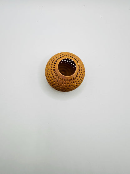 Premium Jumping Spider Hide | Magnetic Wall Pod