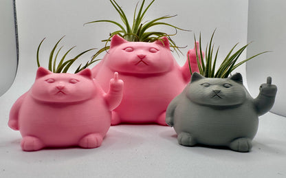Angry Fat Cat Planter Décor | Perfect for Airplants or Succulents
