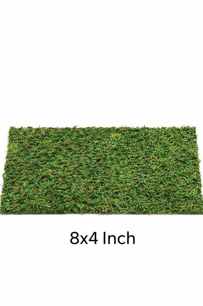 Dried Moss Carpeting for Jumping Spiders & Reptiles (more sizes,better quality)