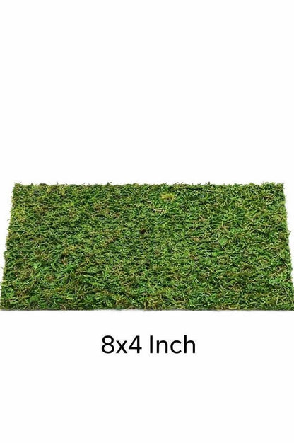 Dried Moss Carpeting for Jumping Spiders & Reptiles (more sizes,better quality)