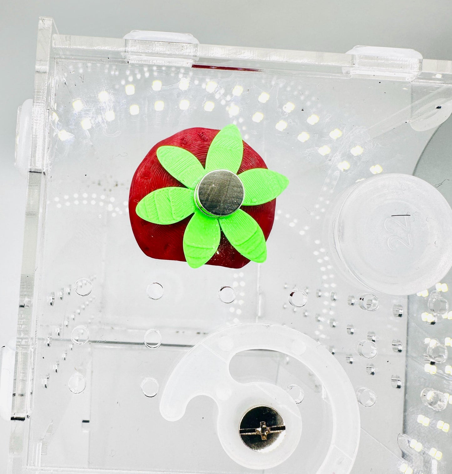 Food Themed Jumping Spider Pods – Magnetic Ceiling-Mounted Hides