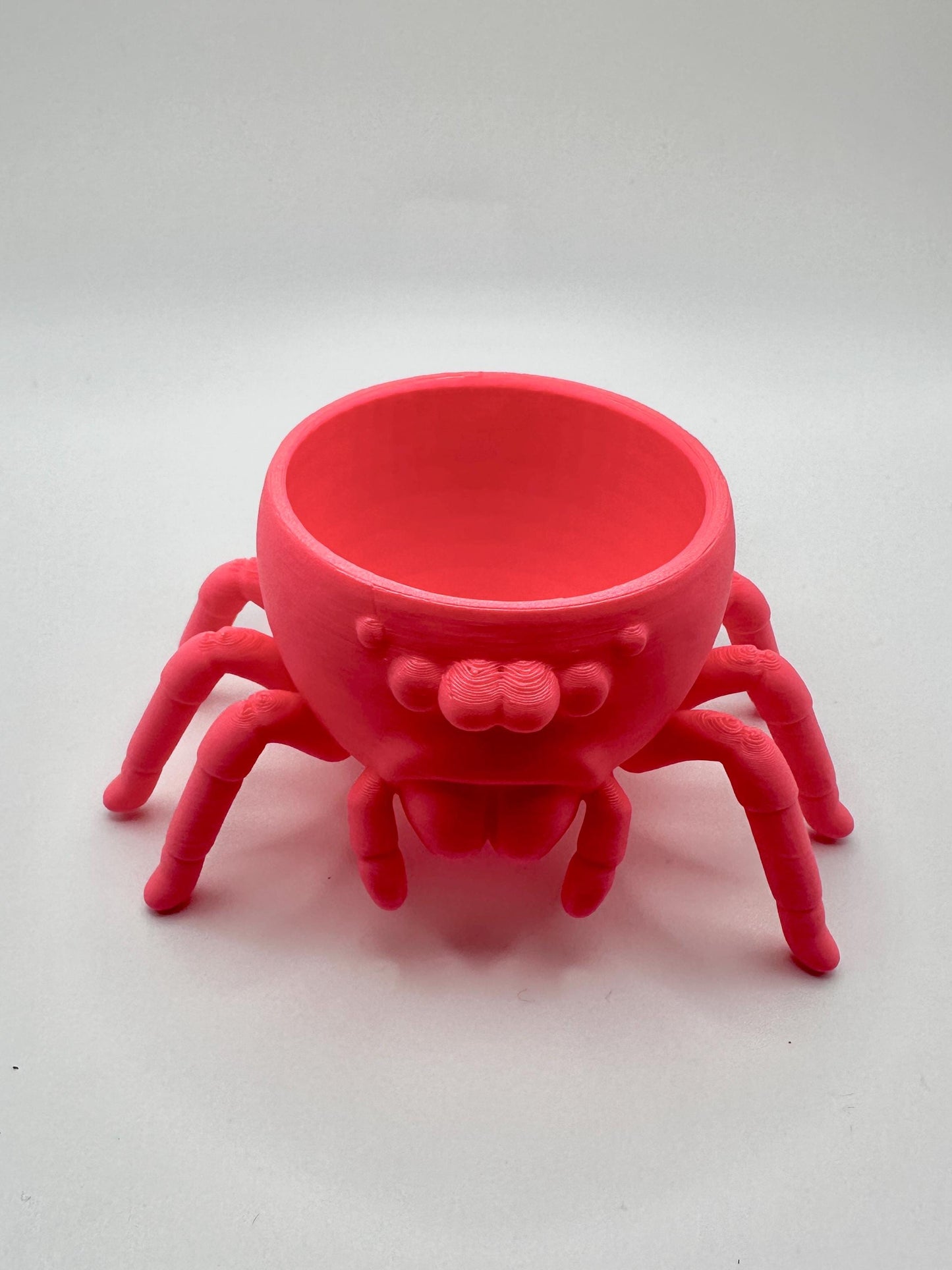 Jumping Spider Planter