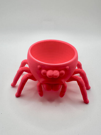 Jumping Spider Planter