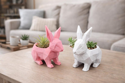 Bunny Rabbit Planter Décor for Airplants or Succulents