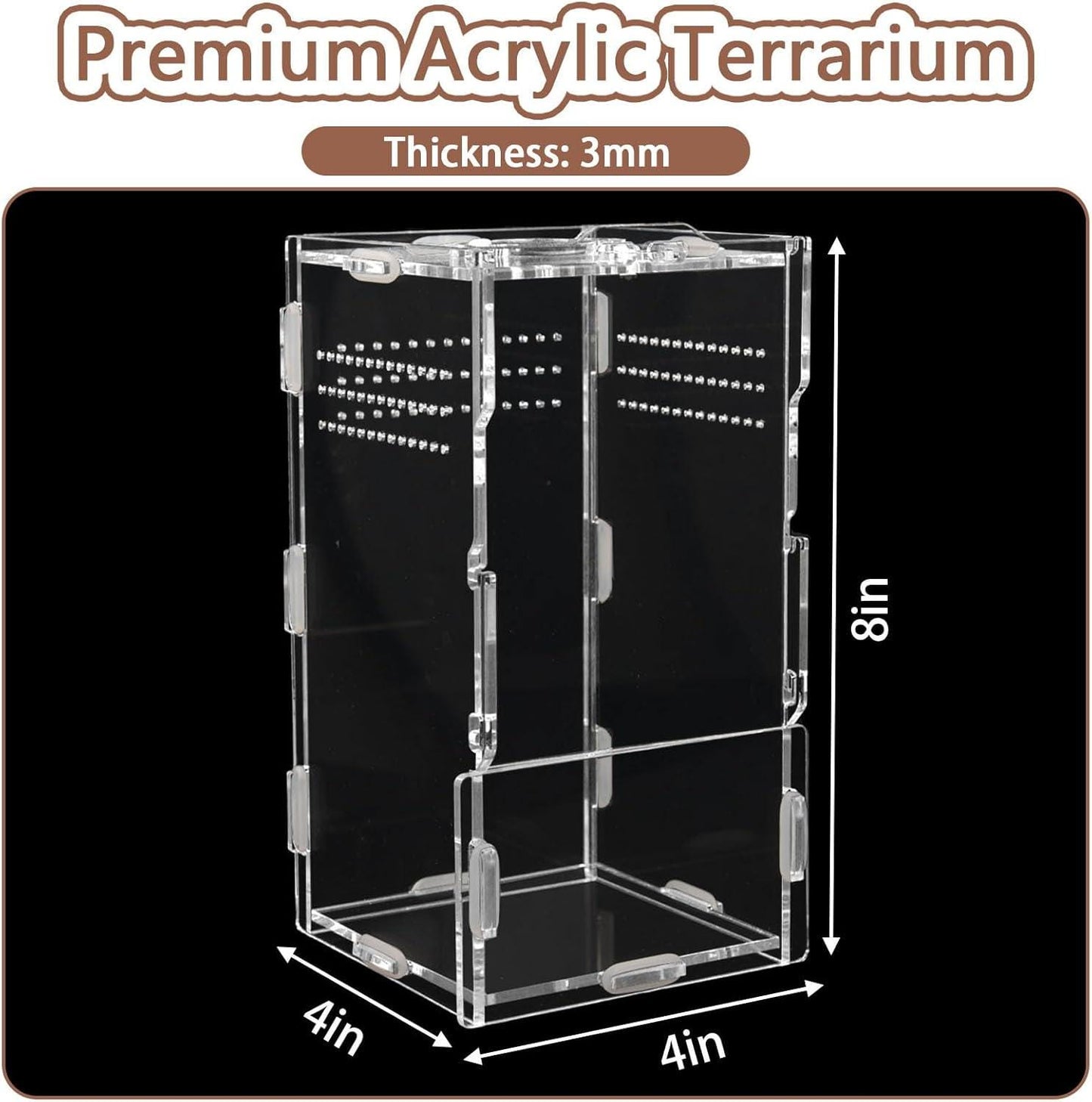 Ancient Rome Full Bundle Pack | Jumping Spiders | Semi Bio Active Kit + Fully Stocked Enclosure
