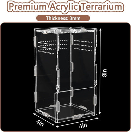 Ancient Rome Full Bundle Pack | Jumping Spiders | Semi Bio Active Kit + Fully Stocked Enclosure