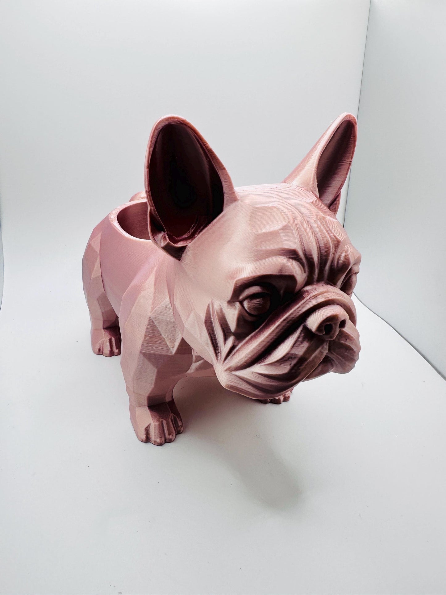 Frenchie decorative planter– Perfect for Succulents or Air Plants | Unique Home Decor | Gift for Pet/Plant Lovers