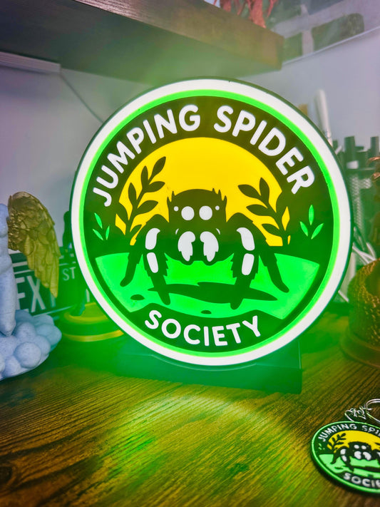 JUMPING SPIDER SOCIETY | Lamp decor