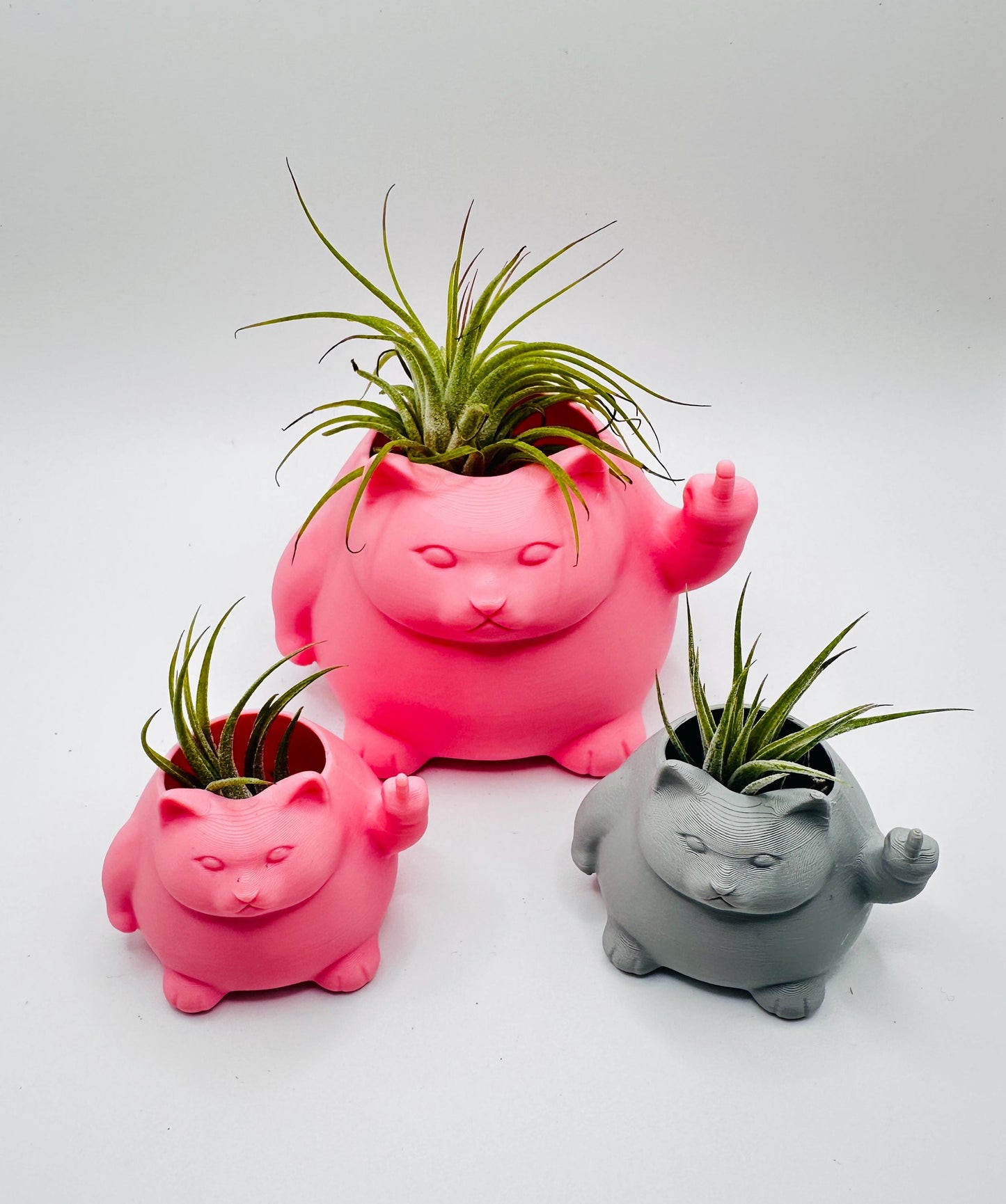 Angry Fat Cat Planter Décor | Perfect for Airplants or Succulents