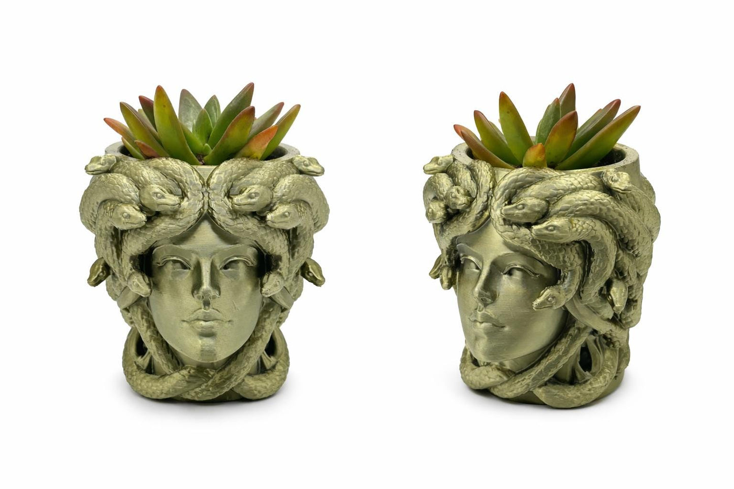 Medusa Head Planter – 3D Printed - Greek Mythology Inspired Decor