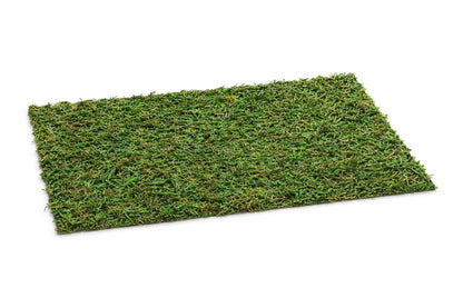 Dried Moss Carpeting for Jumping Spiders & Reptiles (more sizes,better quality)