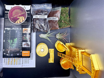 Ancient Rome Full Bundle Pack | Jumping Spiders | Semi Bio Active Kit + Fully Stocked Enclosure